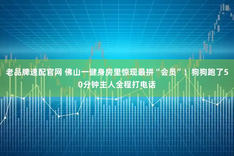 老品牌速配官网 佛山一健身房里惊现最拼“会员”！狗狗跑了50分钟主人全程打电话